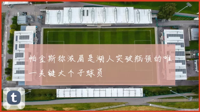 帕金斯称浓眉是湖人突破瓶颈的唯一关键大个子球员
